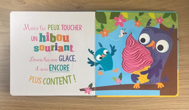 Il ne faut pas toucher un lapin grognon Livres OLF