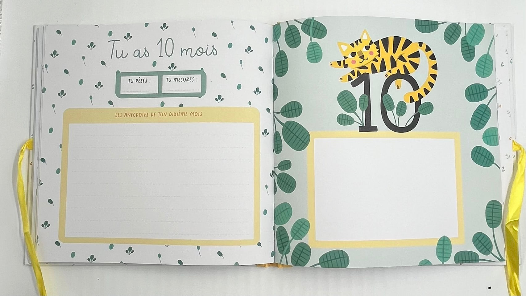 Le livre de naissance de mon bébé Livres OLF