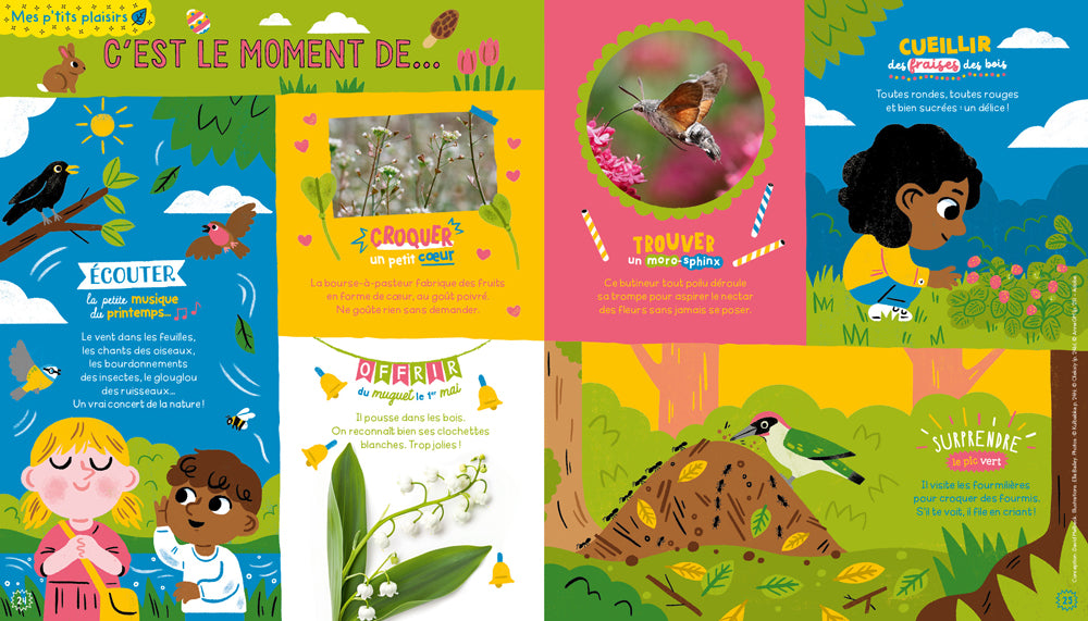 La Petite Salamandre 4-7 ans Livres La Salamandre