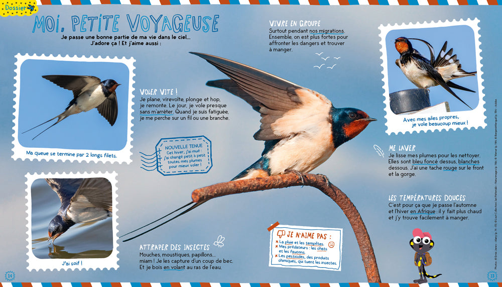 La Petite Salamandre 4-7 ans Livres La Salamandre