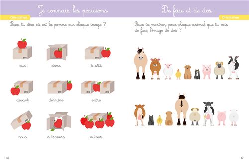 Mon grand cahier Montessori des tout-petits - Enfant dès 2 ans Montessori & Steiner OLF
