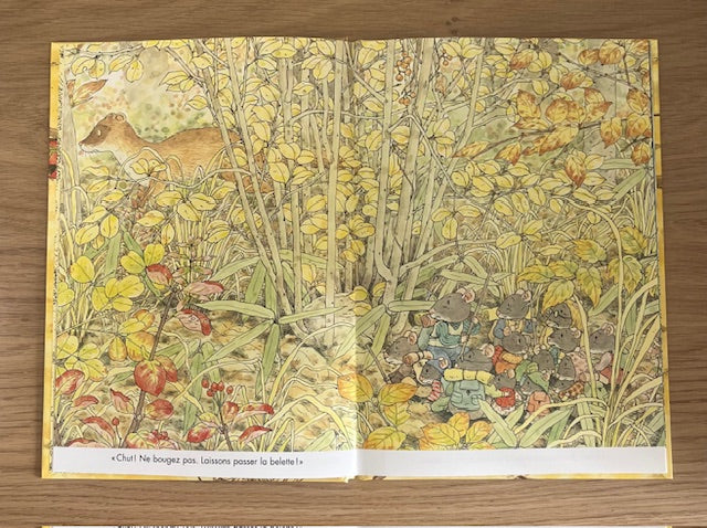 Une nouvelle maison pour la famille souris - Livre enfant sur le déménagement Livres Servidis