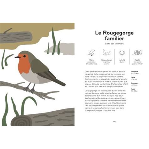 Ornithorama, le monde passionnant des oiseaux - Dès 6 ans Livres OLF
