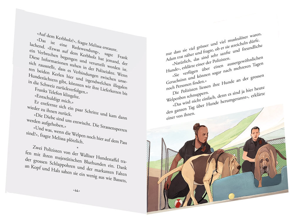 Péril au Grand-Saint-Bernard en allemand - Frissons suisses - Polar pour ados - Dès 10 ans Livres OLF