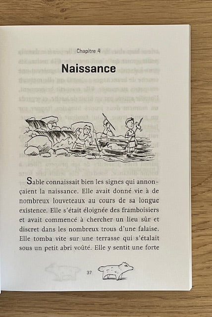 Les enfants de la Louve - T1 Livres OLF