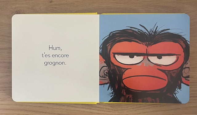 T'es grognon, Gaston ? Livres OLF