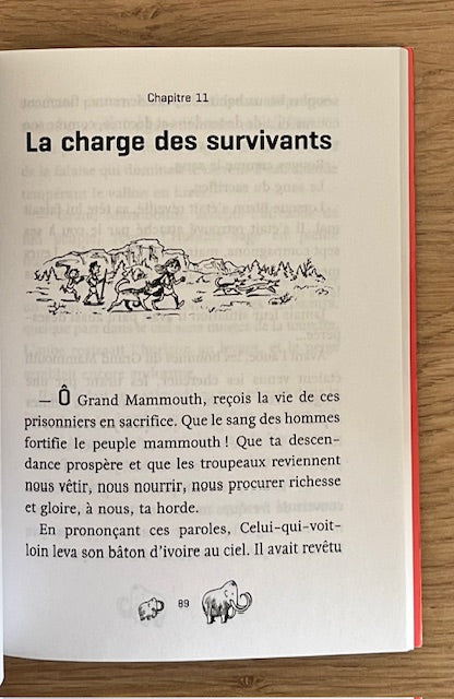 Les enfants de la Louve - T3 - La vallée des mammouths Livres OLF