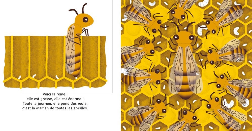 Les p'tites abeilles - Dès 3 ans Livres La family shop