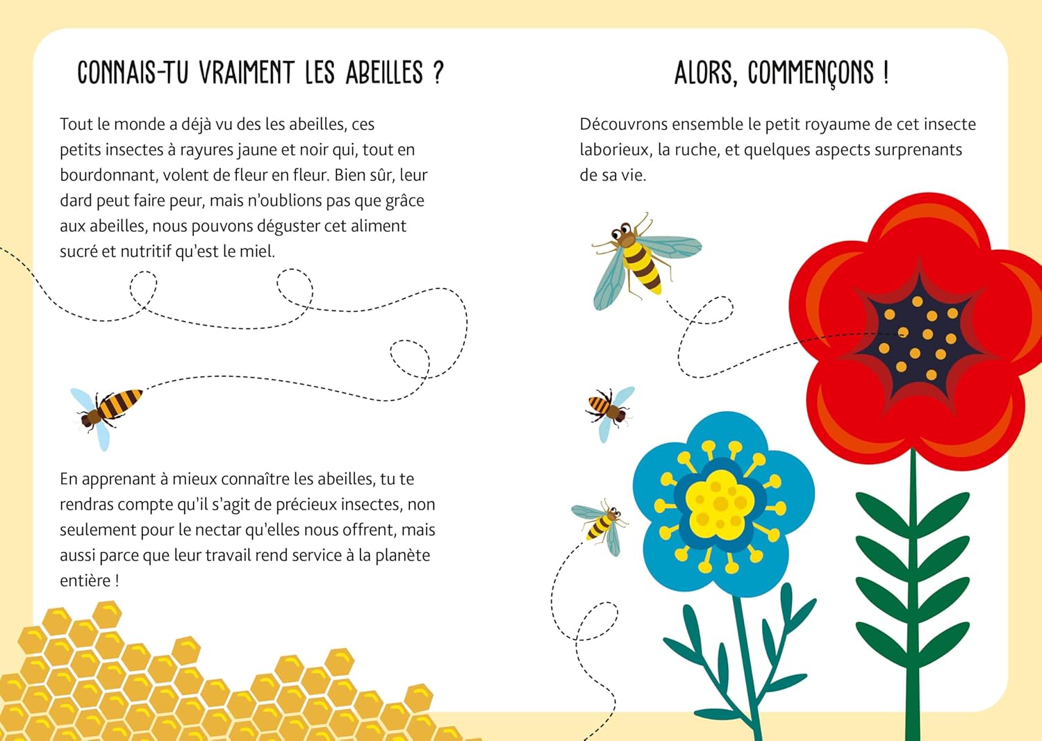 Abeilles - Mallette de jeux Jeux & loisirs créatifs OLF