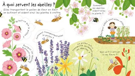 Pourquoi a-t-on besoin des abeilles ? - Mes premières questions Livres OLF