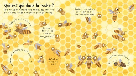 Pourquoi a-t-on besoin des abeilles ? - Mes premières questions Livres OLF