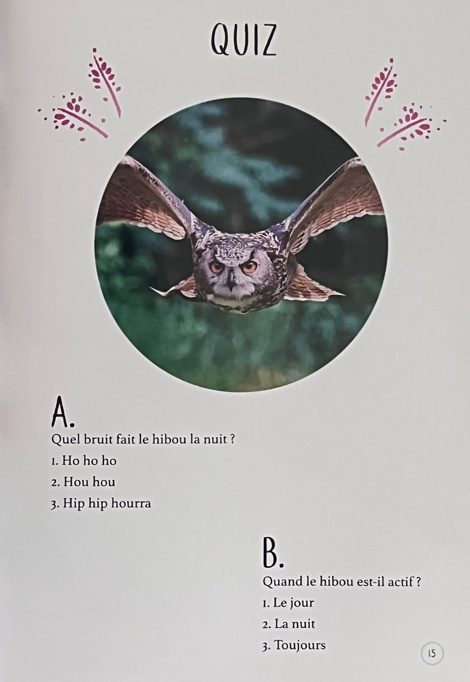les animaux de la forêt  - Mini Encyclopédie Livres La Family Shop