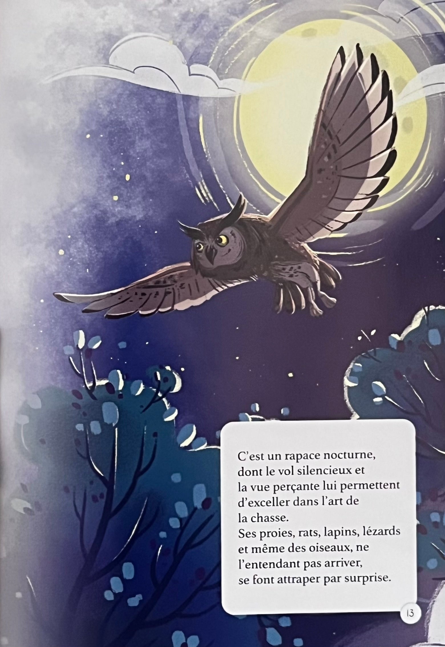 les animaux de la forêt  - Mini Encyclopédie Livres La Family Shop
