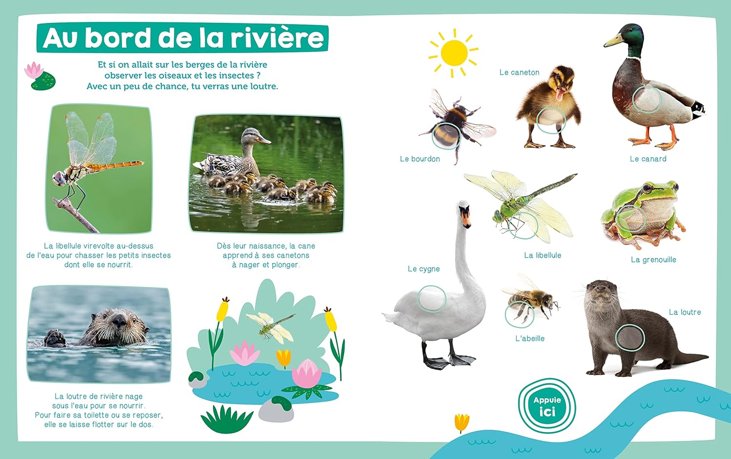 Mon imagier sonore - les animaux livres La Family Shop