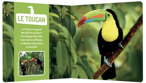 Les animaux de la jungle - livre sonore Livres OLF
