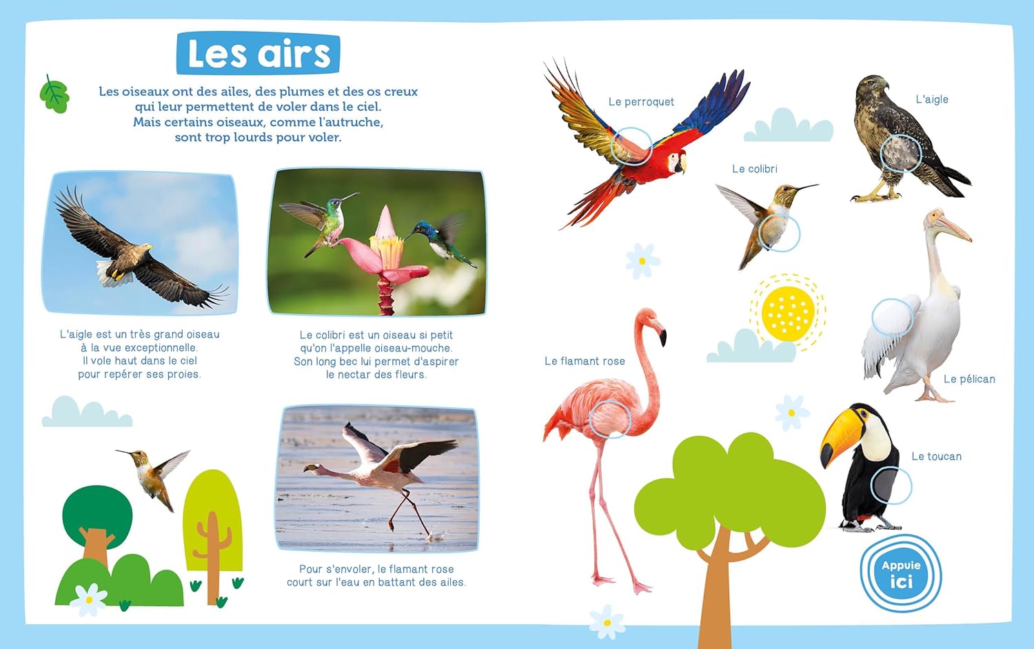 Mon imagier sonore - Les animaux sauvages Livres OLF