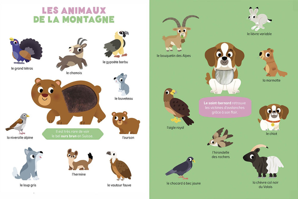 Mes premiers animaux de Suisse à toucher