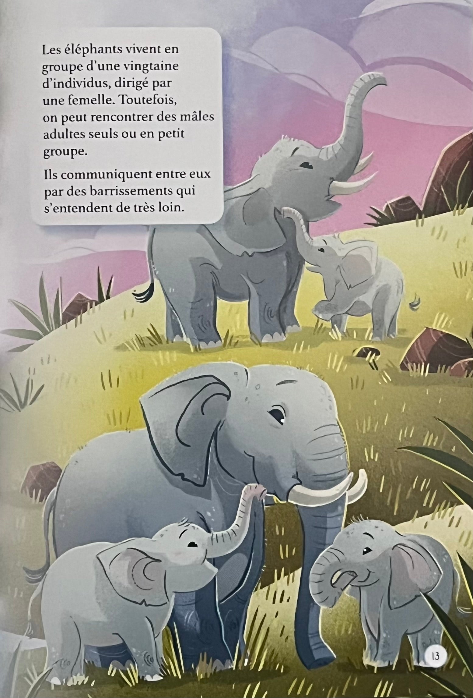 Les animaux de la savane - Mini Encyclopédie Livres La Family Shop