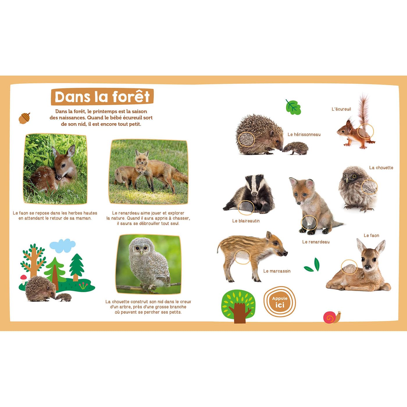 Mon imagier sonore - bébés animaux Livres OLF