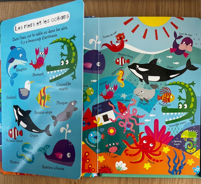 Mon premier cherche et trouve sonore - 50 sons animaux - Dès 2 ans Livres OLF