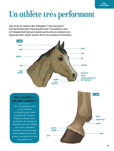L'encyclo: passion cheval - Tout savoir sur les chevaux dès 8 ans