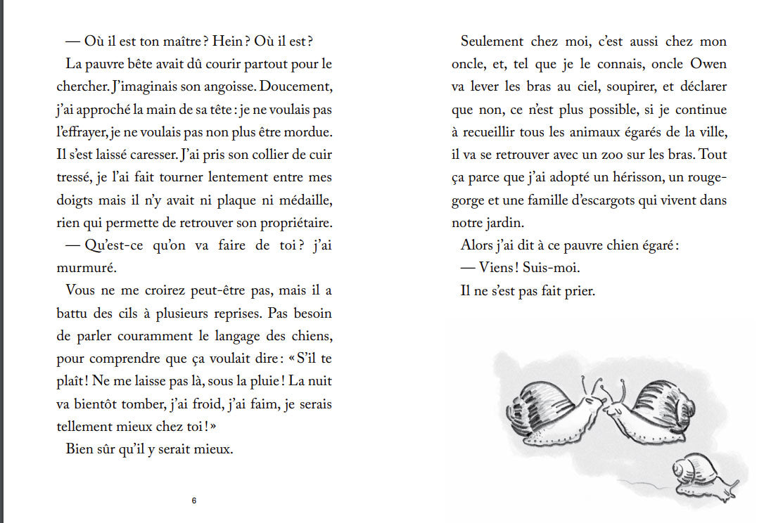 Le chien du bout du monde - Livre ado dès 10 ans Livres La joie de lire