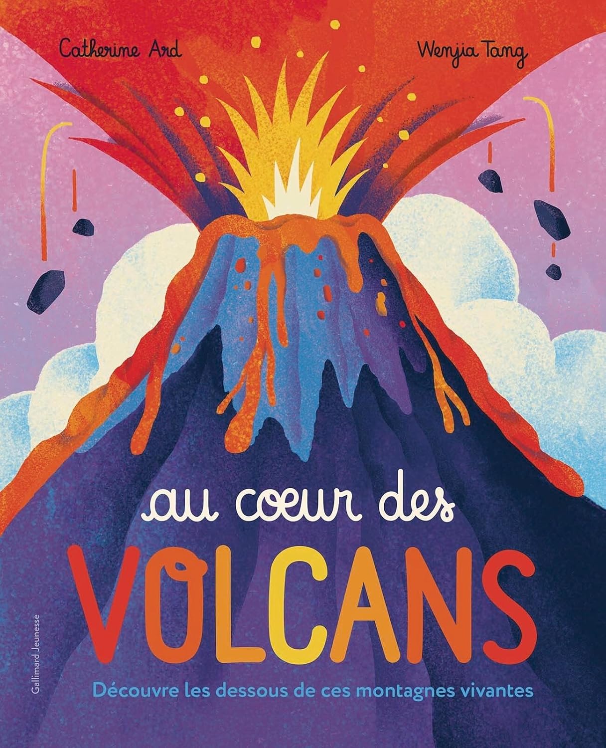 Au cœur des volcans