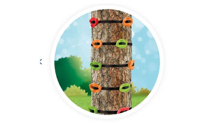 Coffret escalade aventure dès 5 ans Jeux & loisirs créatifs Interplay (swissgame)