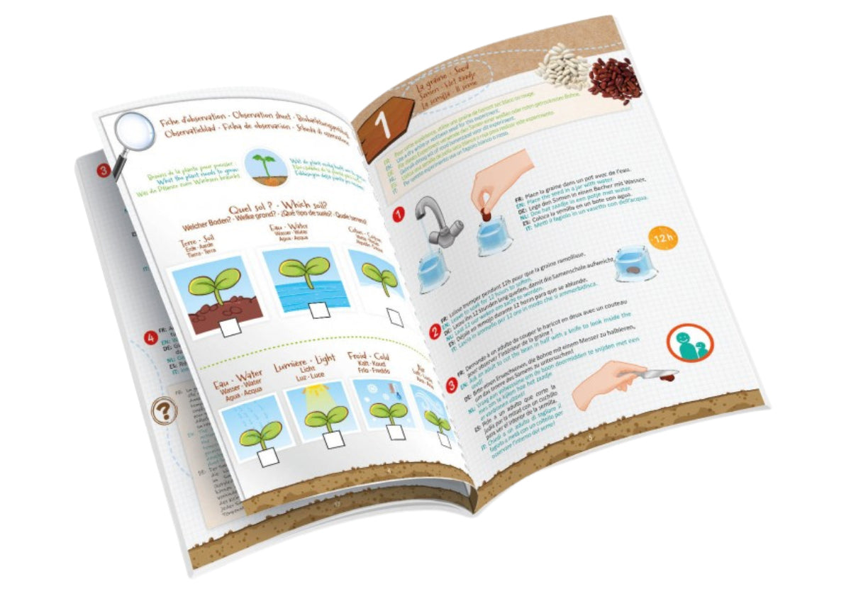 Coffret Germinaison dès 5 ans Jeux & loisirs créatifs Interplay (swissgame)