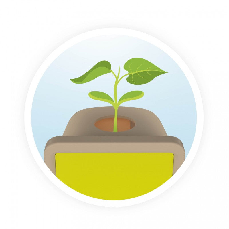 Coffret Germinaison dès 5 ans Jeux & loisirs créatifs Interplay (swissgame)