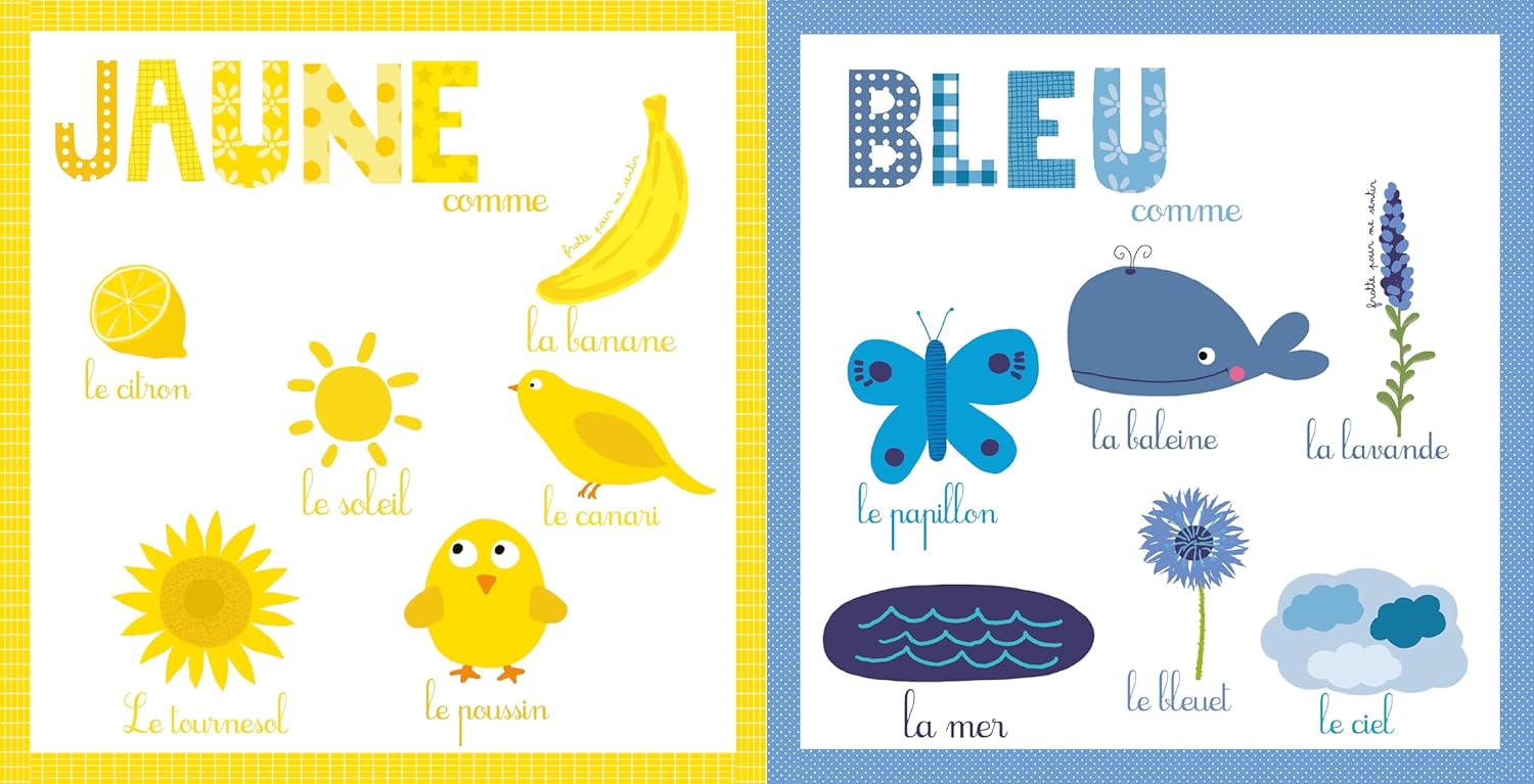 Mon livre des couleurs et des odeurs Livres Dilisco - OLF