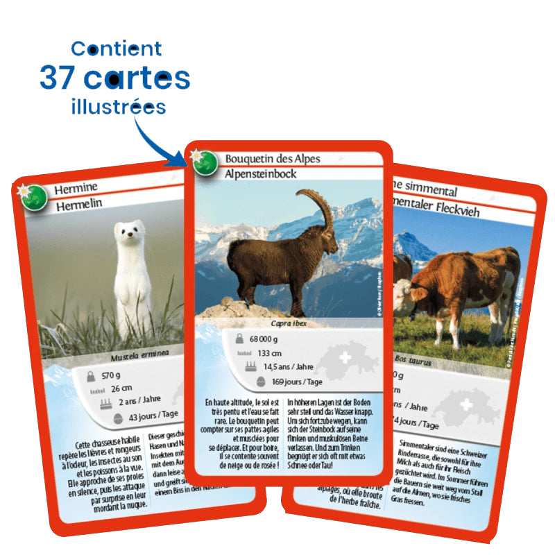 Jeu Nature Challenge Suisse - Jeu de défis dès 7 ans Jeux & loisirs créatifs Swissgames