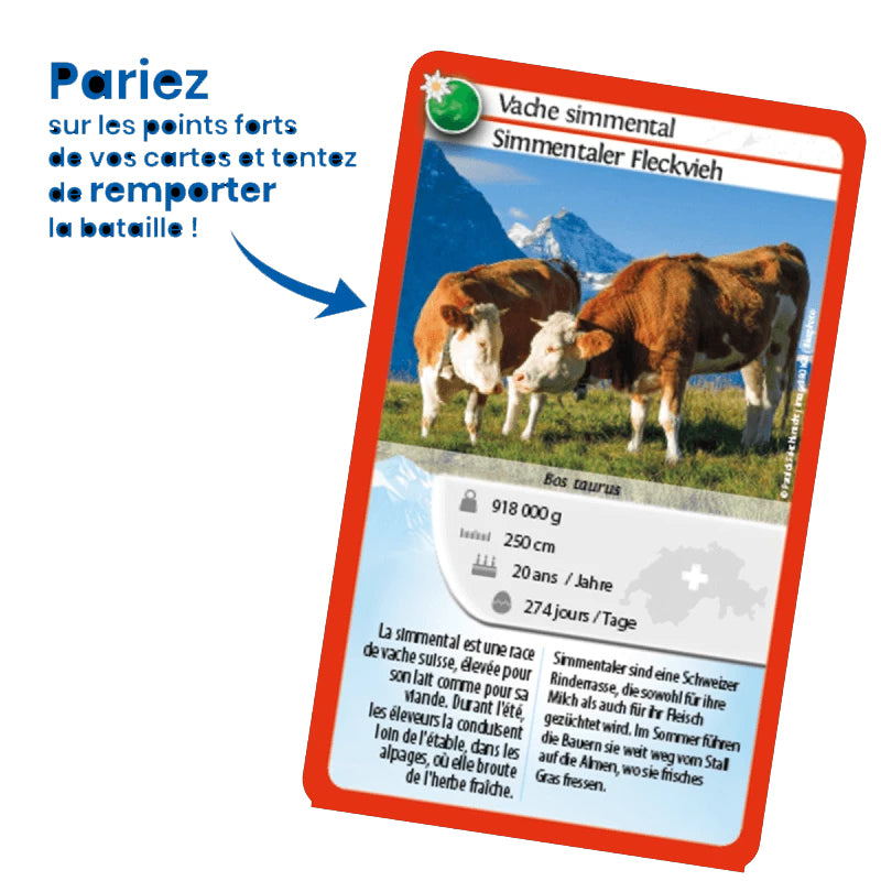 Jeu Nature Challenge Suisse - Jeu de défis dès 7 ans Jeux & loisirs créatifs Swissgames