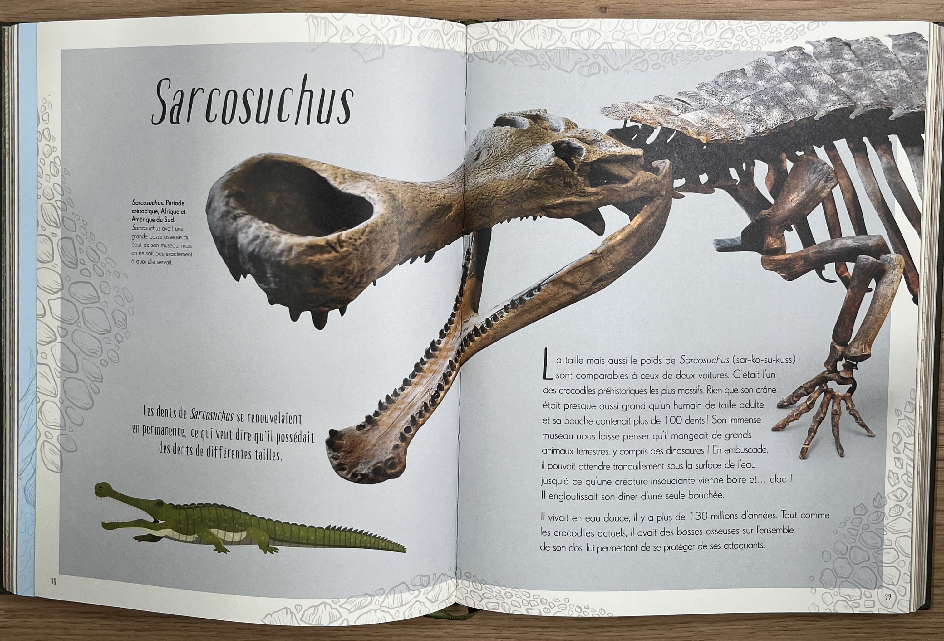 L'anthologie illustrée des dinosaures incroyables et autres vies préhistoriques Livres La family shop