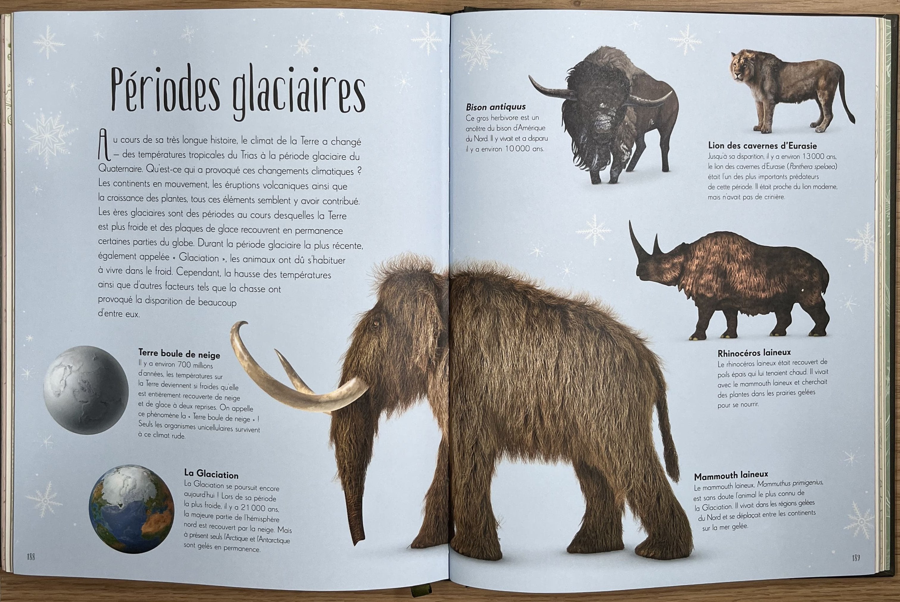 L'anthologie illustrée des dinosaures incroyables et autres vies préhistoriques Livres La family shop