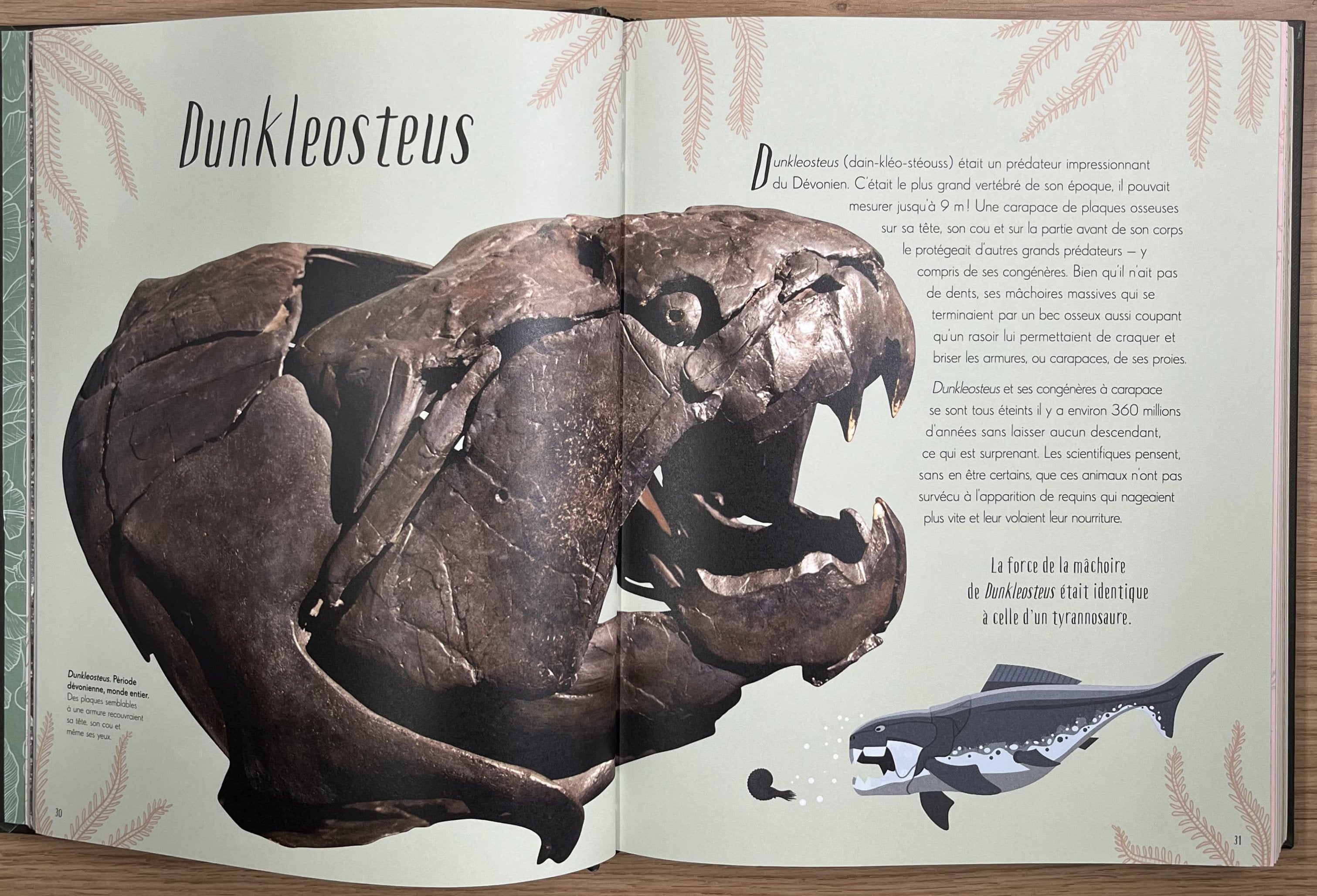 L'anthologie illustrée des dinosaures incroyables et autres vies préhistoriques Livres La family shop