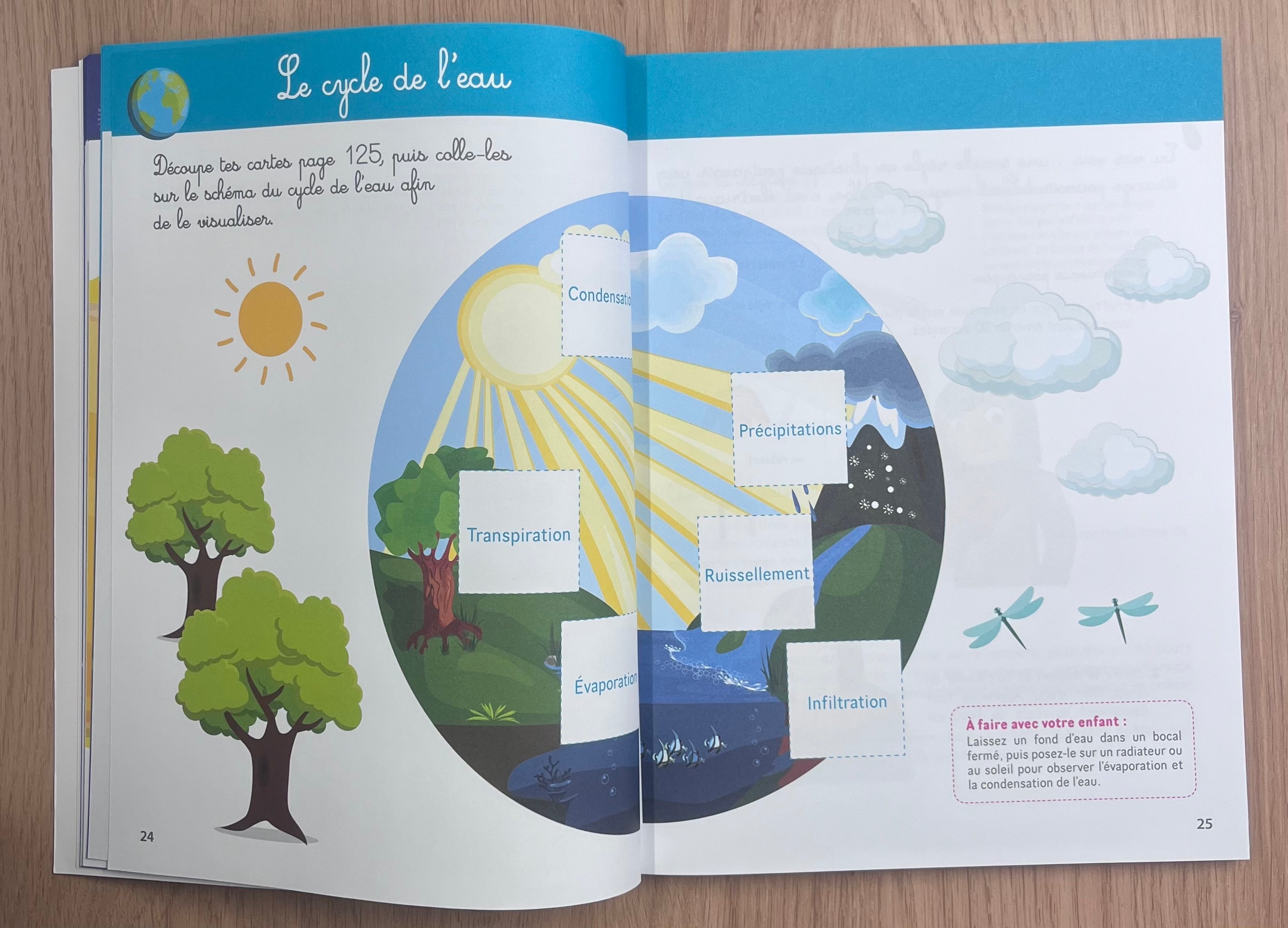 Mon grand cahier Montessori de découverte des sciences Montessori & Steiner OLF