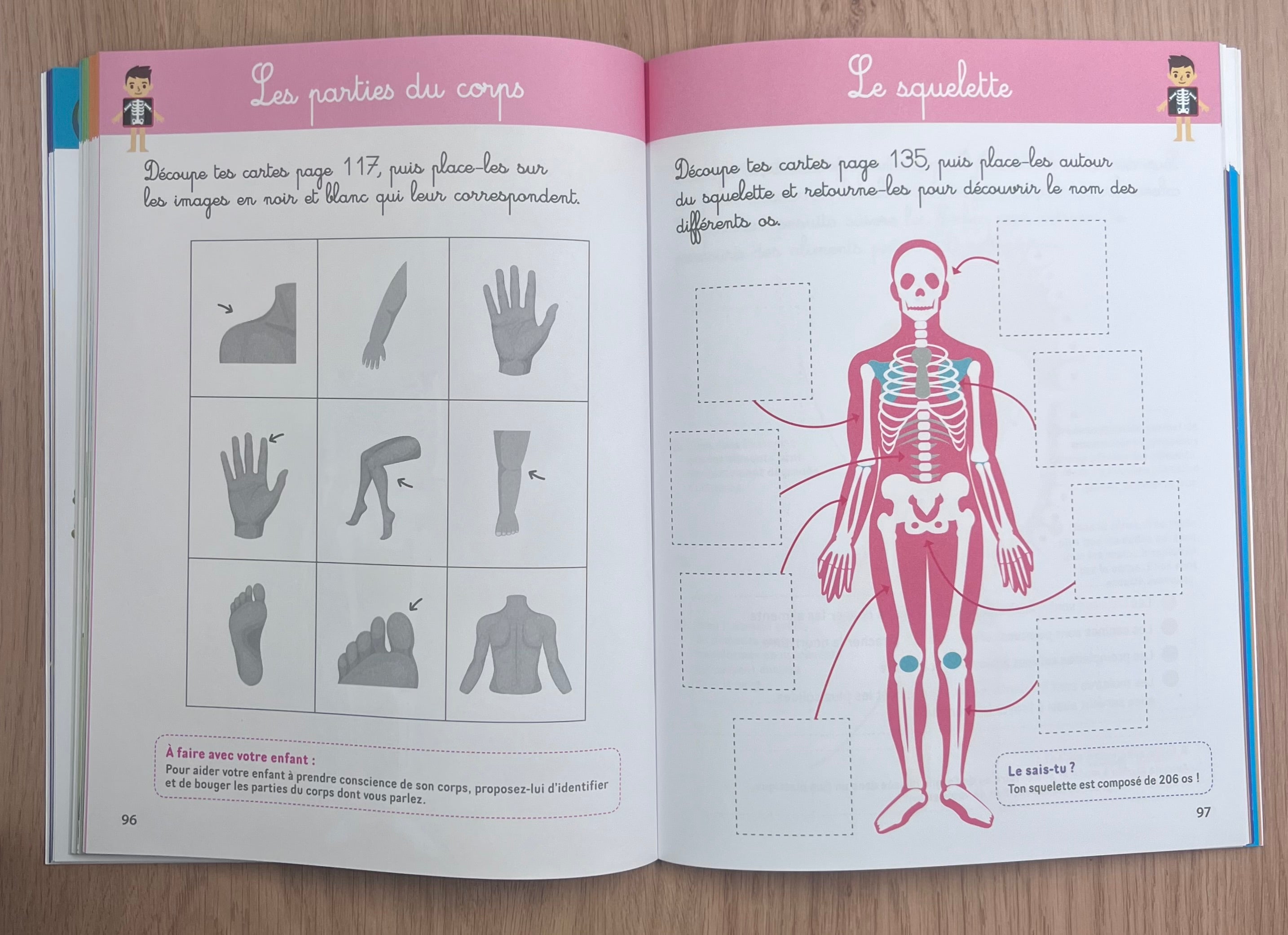 Mon grand cahier Montessori de découverte des sciences Montessori & Steiner OLF