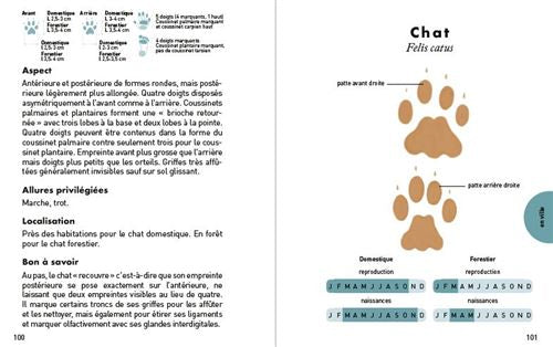 Le petit guide des empreintes animales - Dès 8 ans Livres OLF