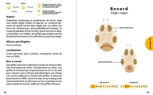 Le petit guide des empreintes animales - Dès 8 ans Livres OLF
