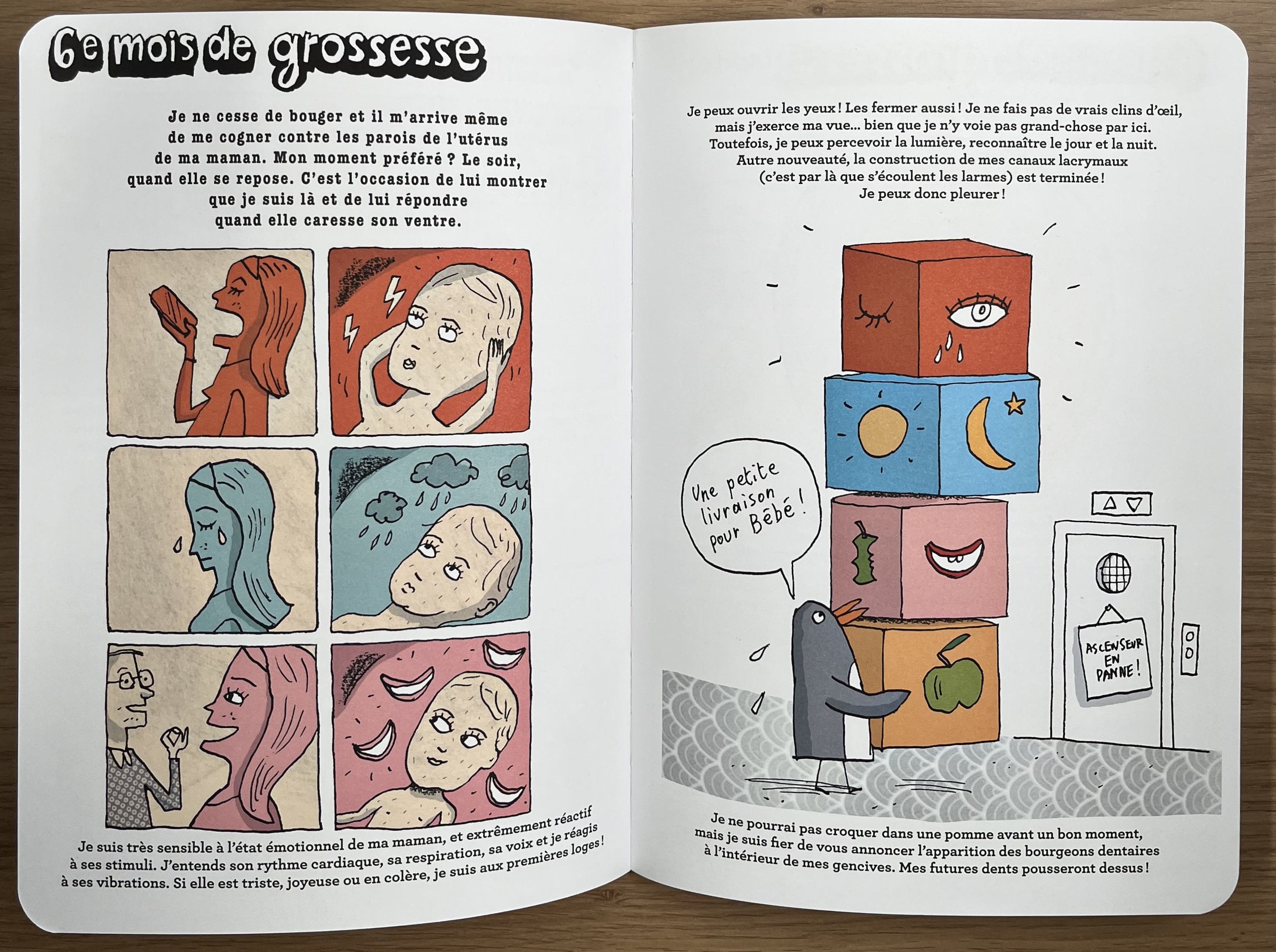 La grande fabrique de bébés. Livres Dargaud