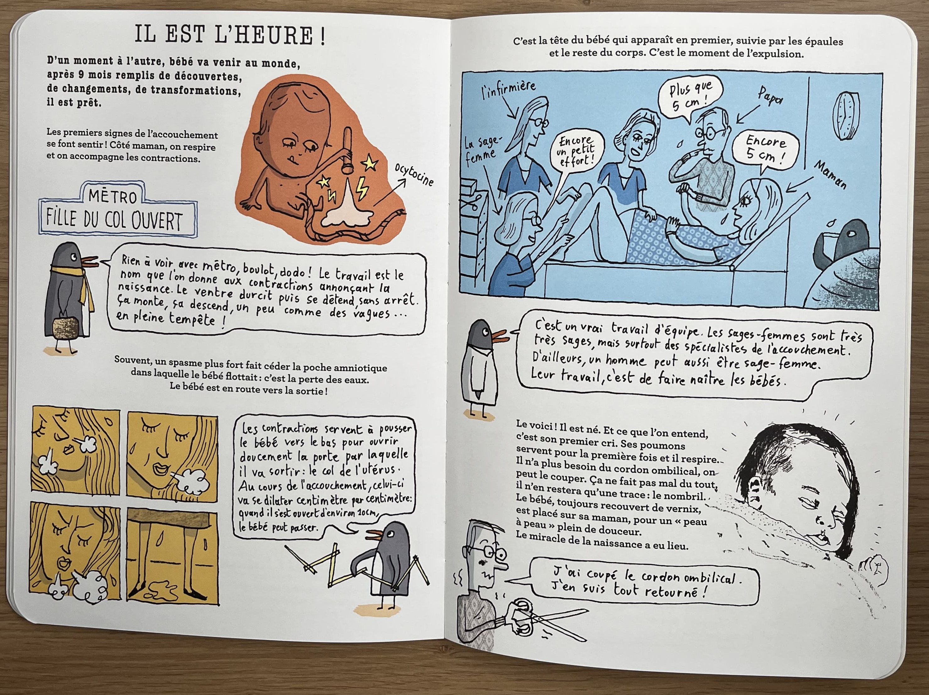 La grande fabrique de bébés. Livres Dargaud