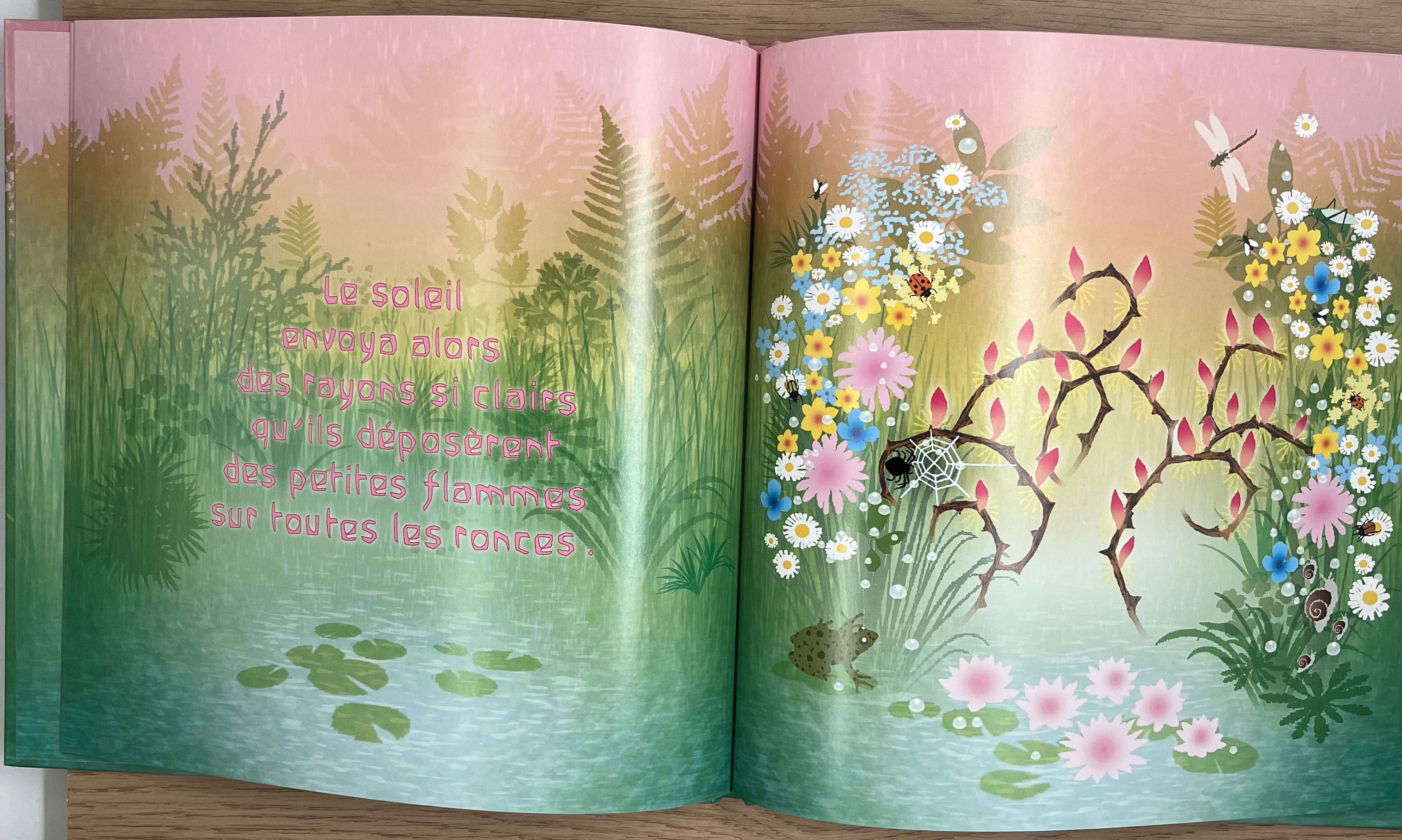 La petite fée de brume Livres La family shop