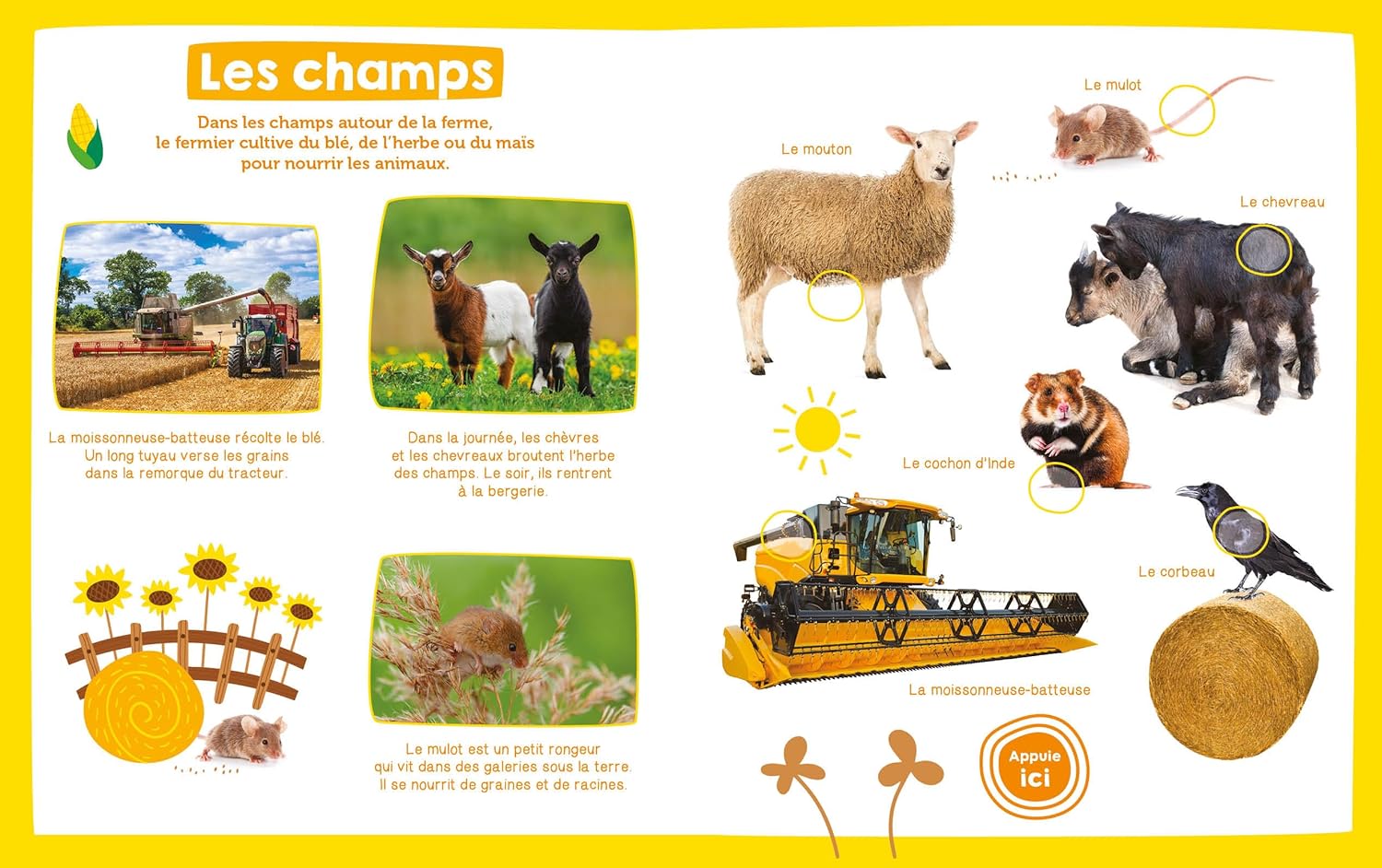 Mon imagier sonore - La ferme Livres OLF