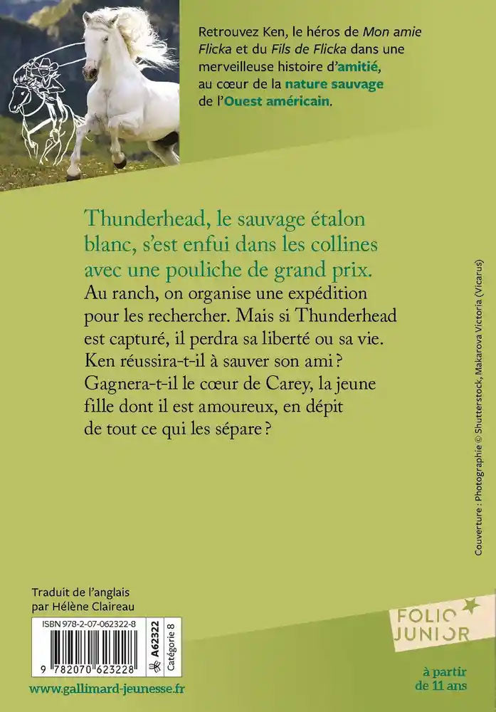 L'herbe verte du Wyoming - T3 (Flicka) Livres La Family Shop