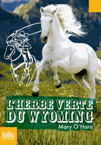 L'herbe verte du Wyoming - T3 (Flicka) Livres La Family Shop
