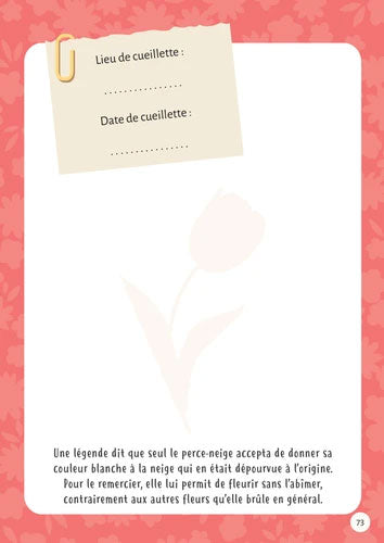 Fabrique ton herbier! Dès 6 ans Jeux & loisirs créatifs Dilisco