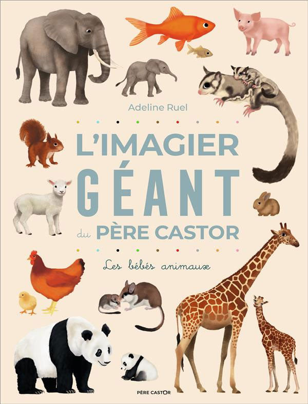 L'imagier géant du Père Castor: bébés animaux dès 12 mois Livres La family shop