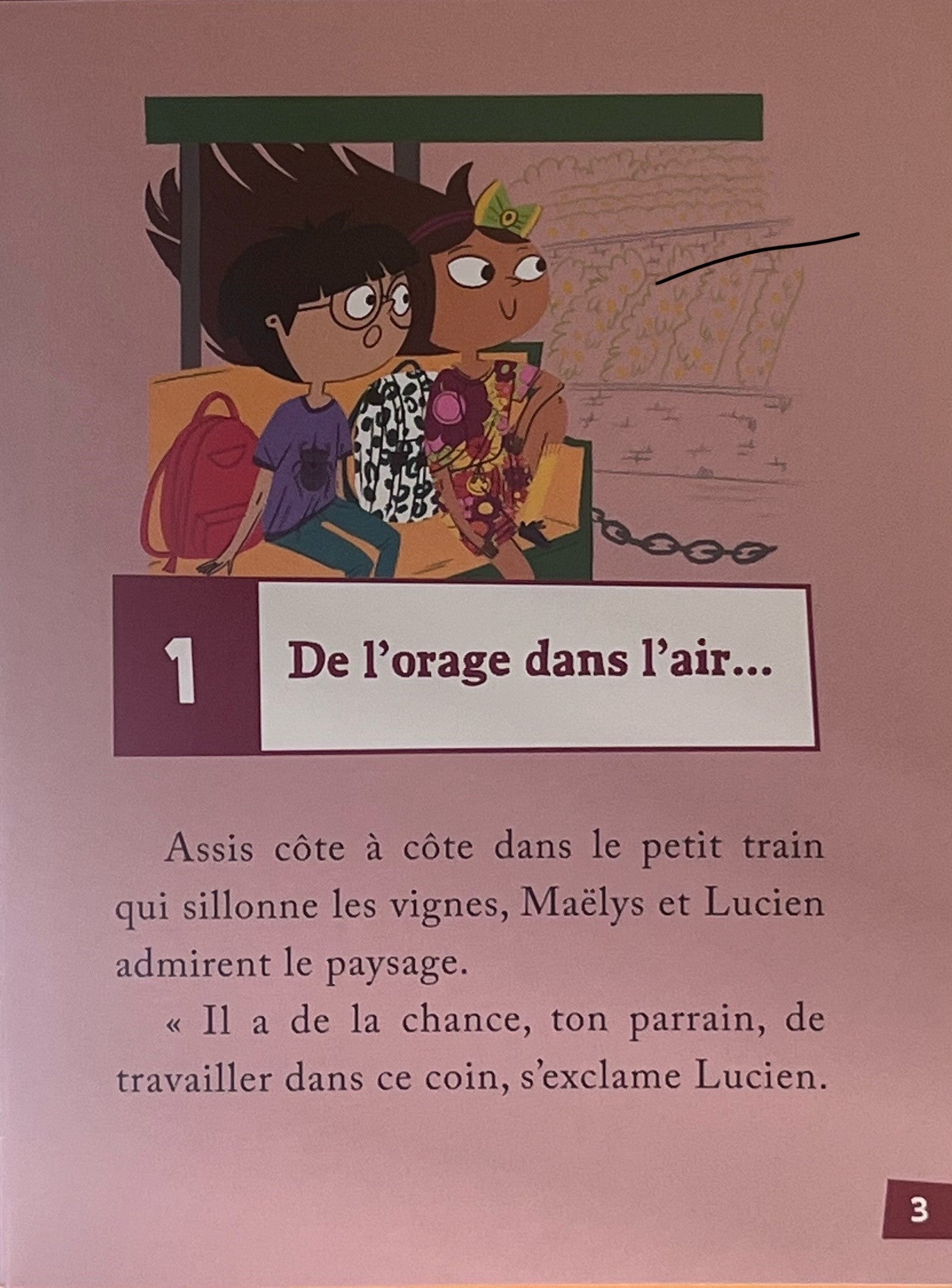 Les enquêtes de Maëlys - T18: vendanges insolites en Lavaux - Dès 8 ans Livres OLF