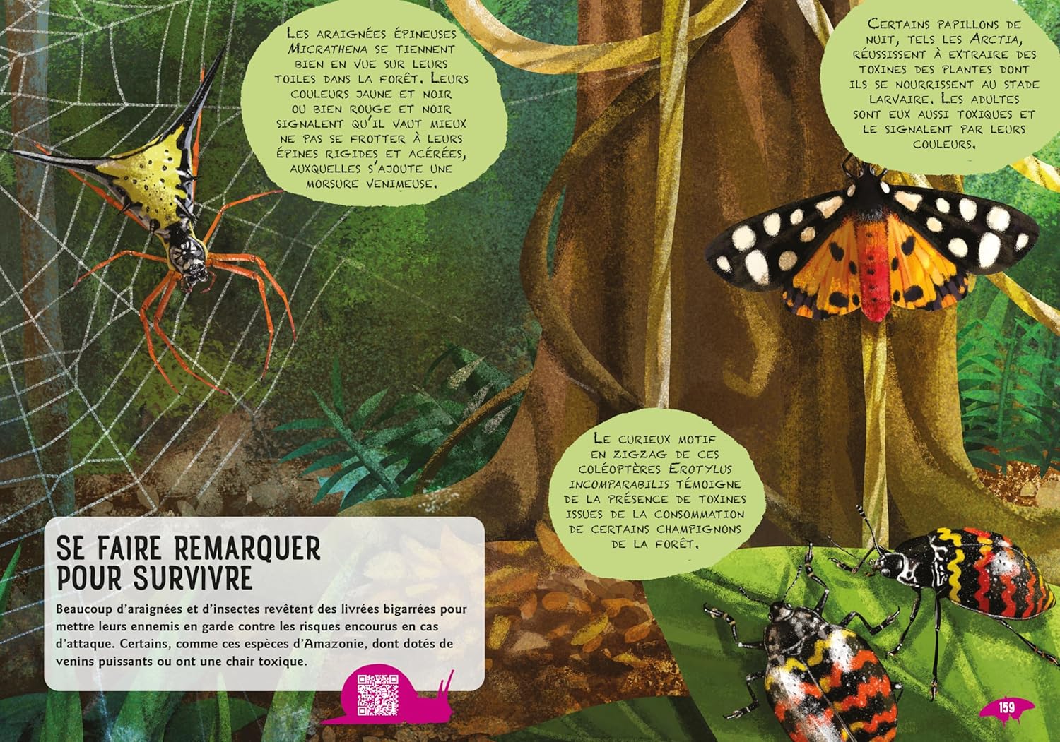 Guide des insectes du monde et autres invertébrés Livres OLF